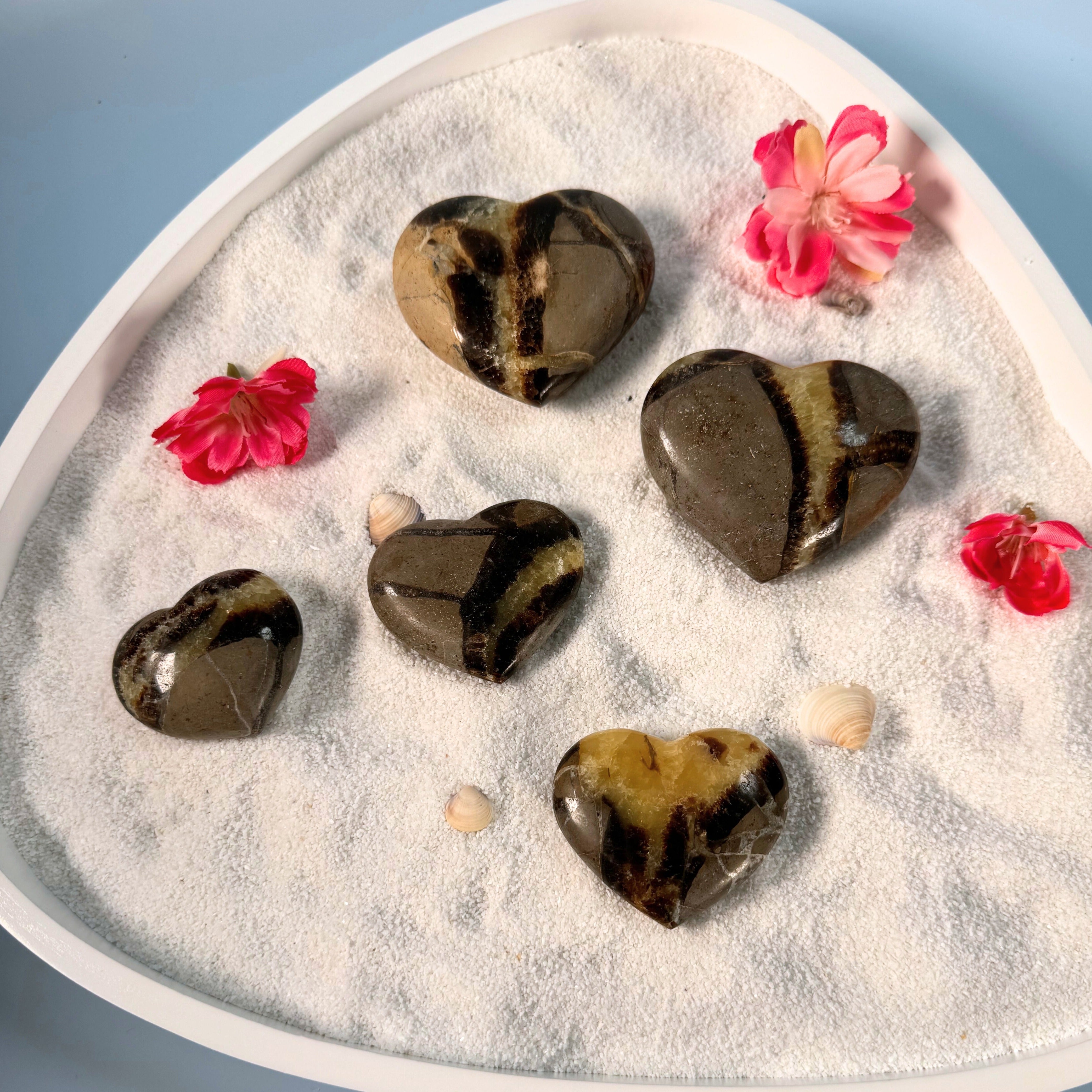 Galet coeur Septaria