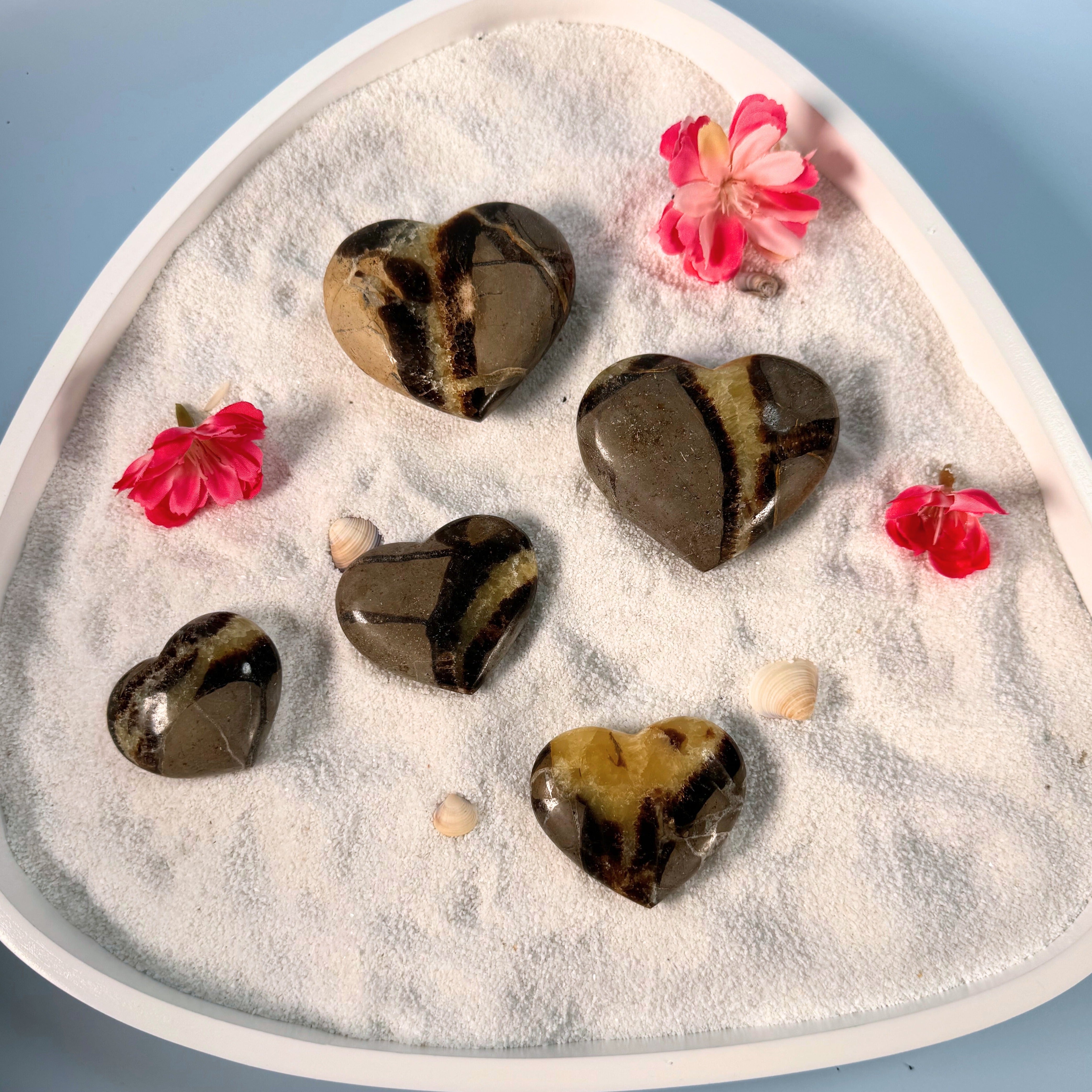 Galet coeur Septaria