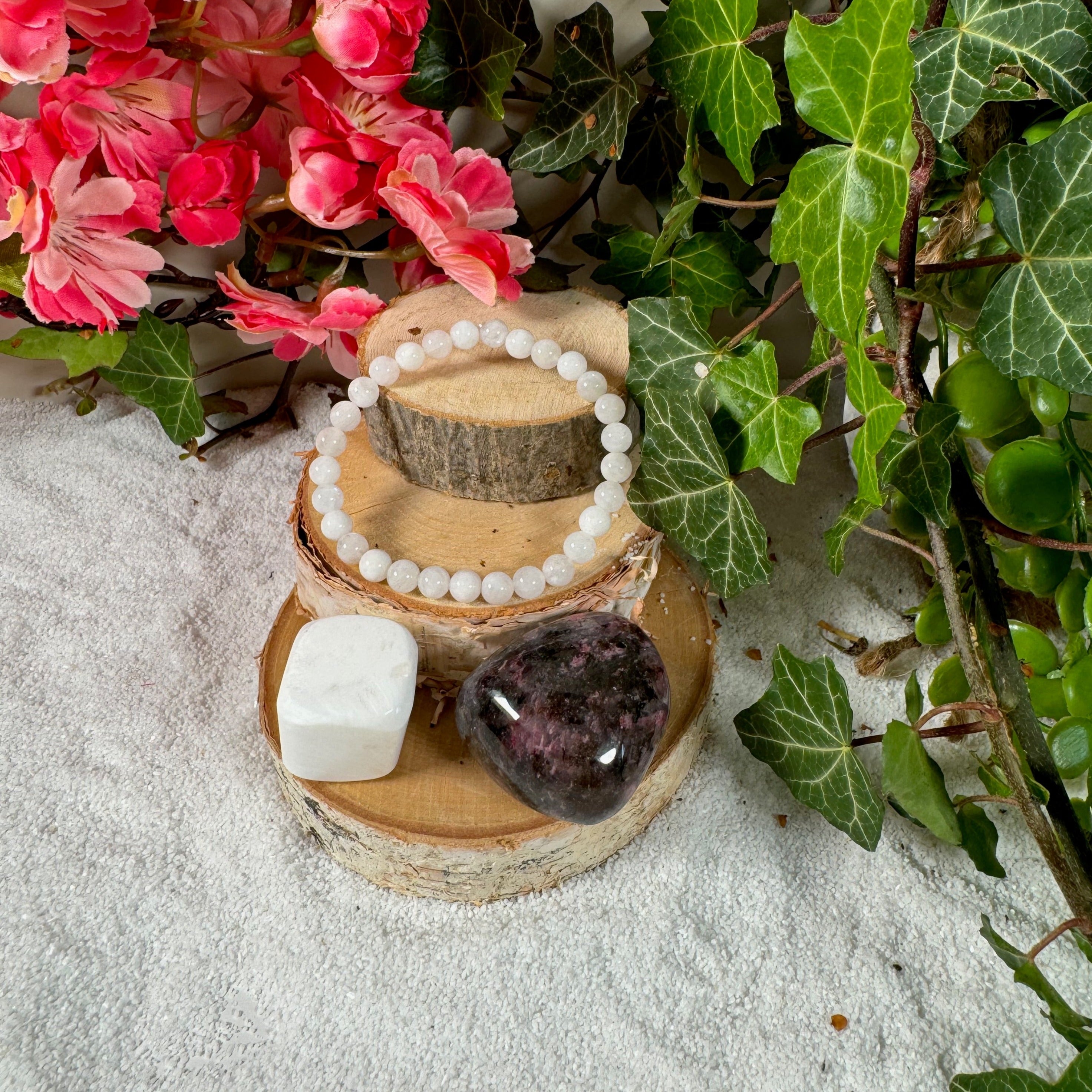 Pack Poissons : Intuition et Douceur