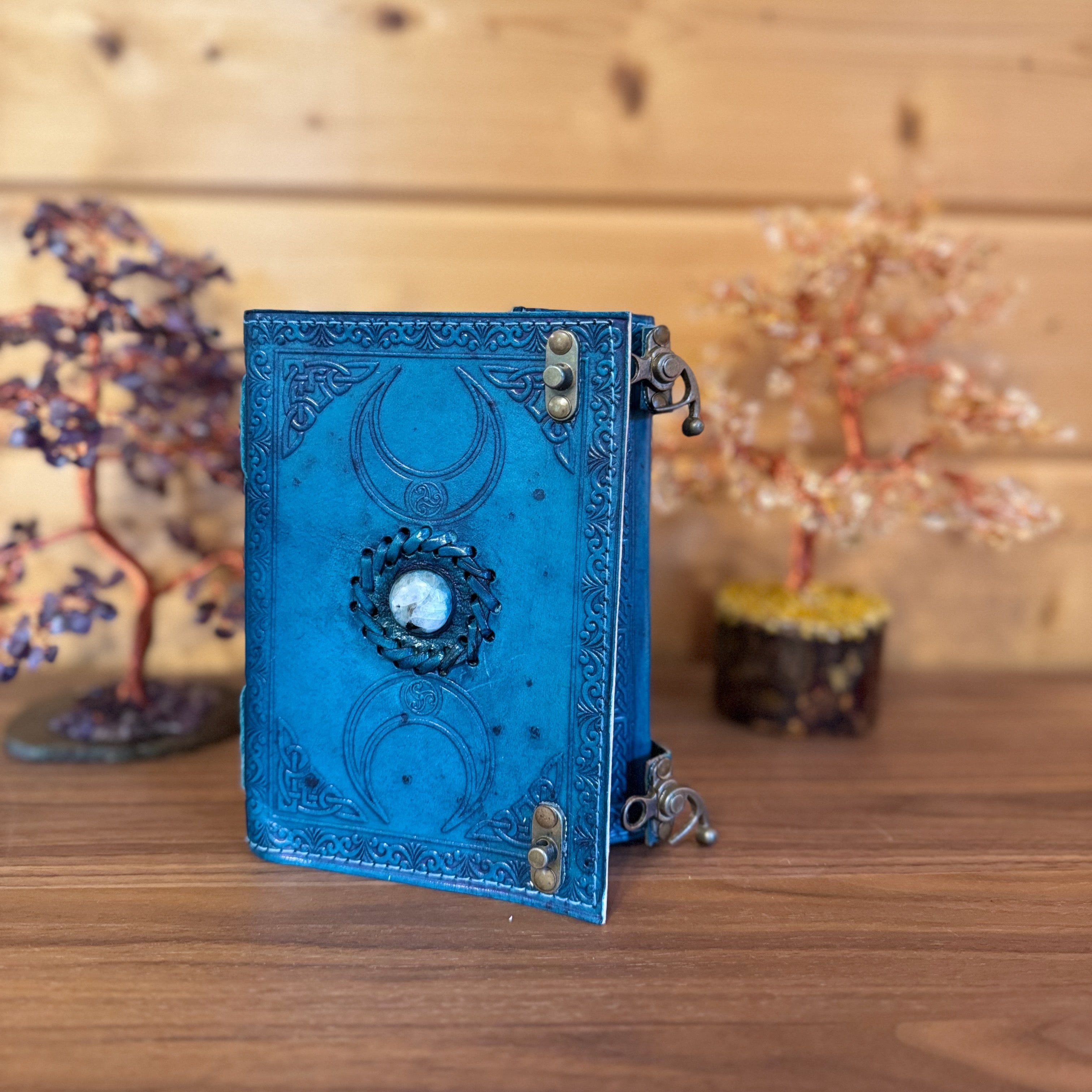 Carnet bleu