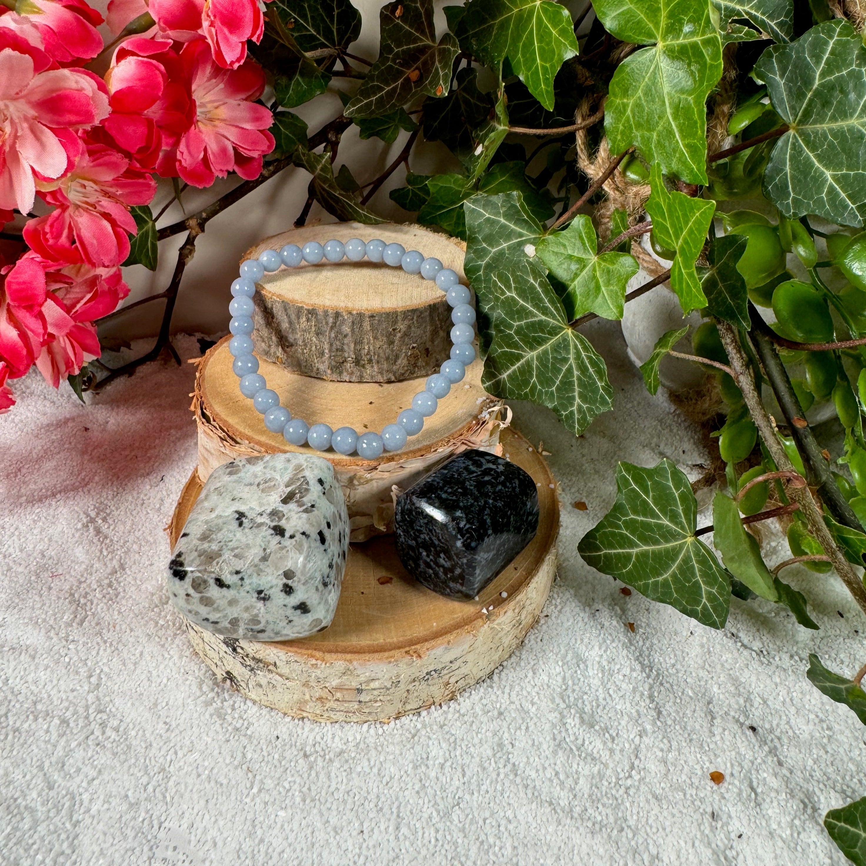 Aquarius Pack: Innovation and Wisdom